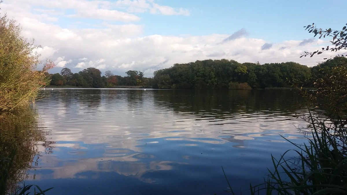 Coate Water Country Park