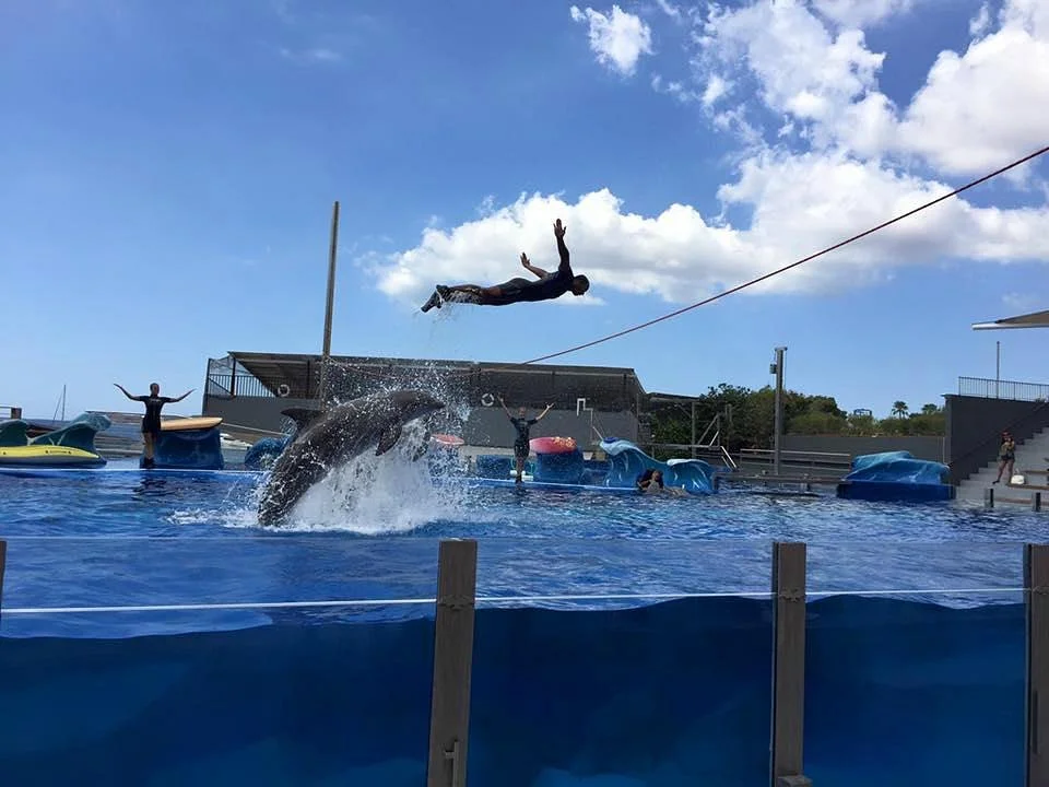 Marineland Majorca