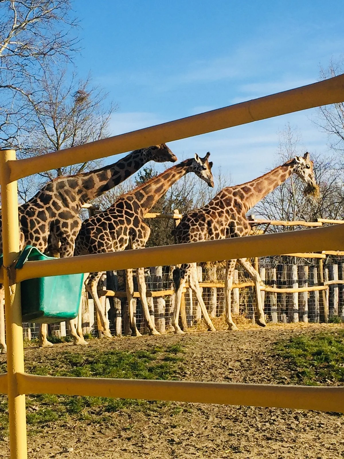 Zoo Gyor