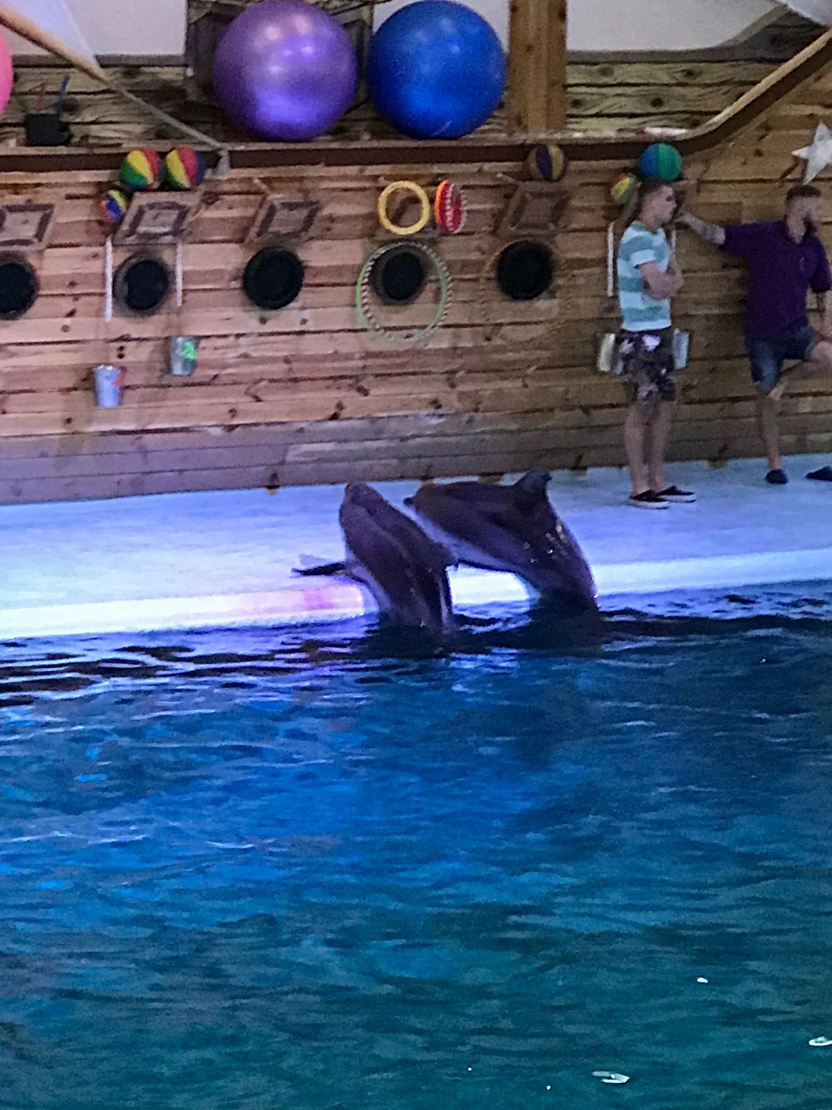 Dolphinarium Oskar