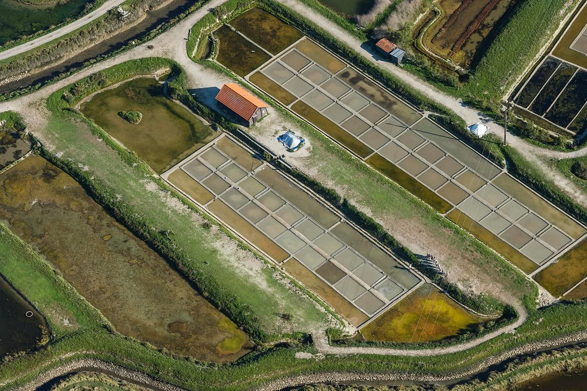Les Marais Salants de la Vie
