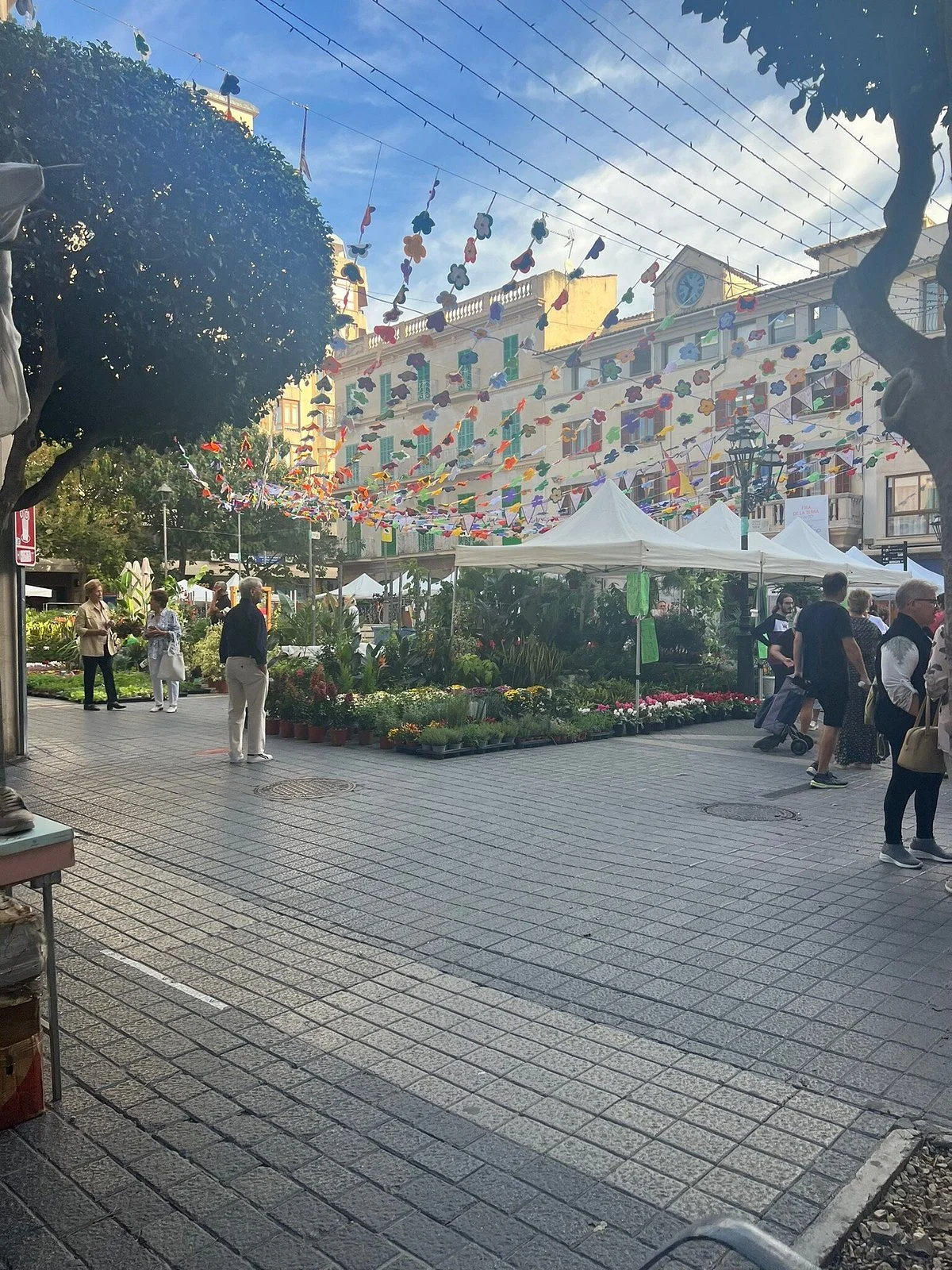 Inca Market