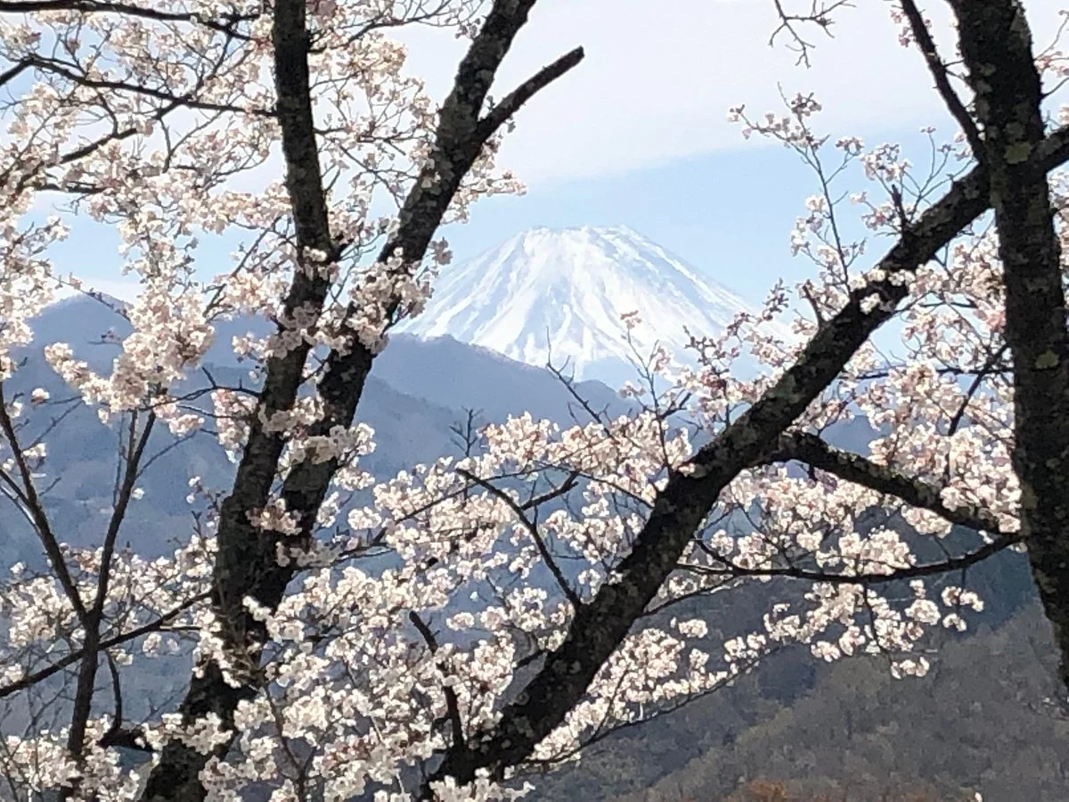 Oboshi Park