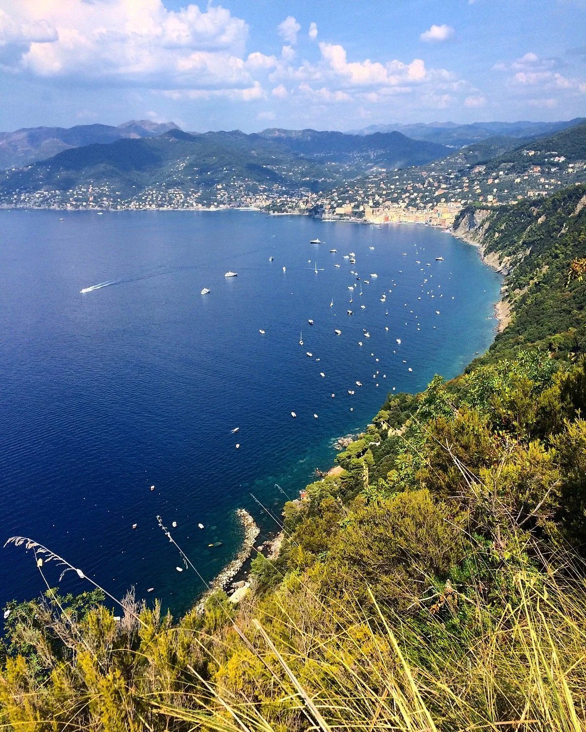 Camogli - San Rocco - Punta Chiappa Trail
