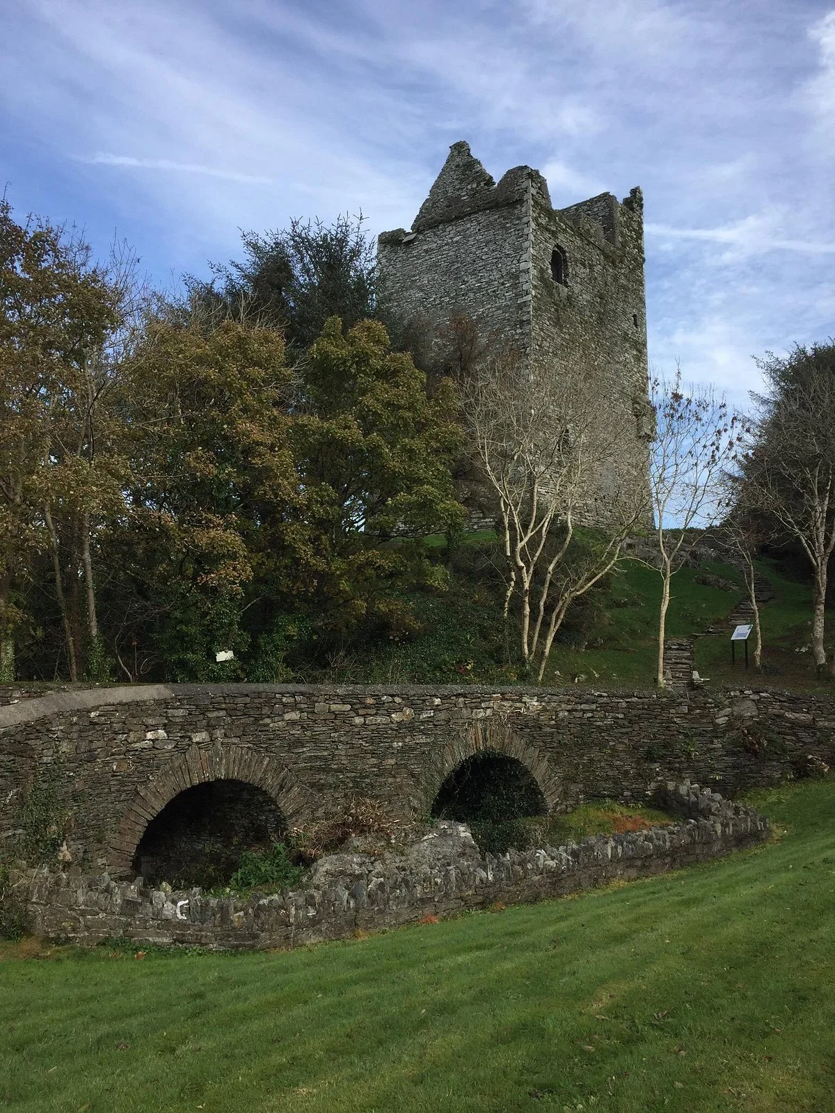 Ballinacarriga Castle