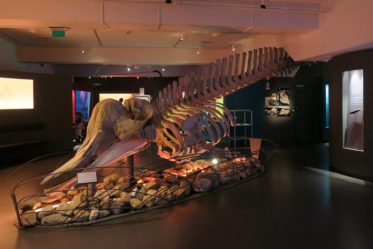 Tromso Museum