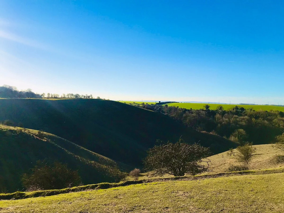 The Barton Hills National Nature Reserve