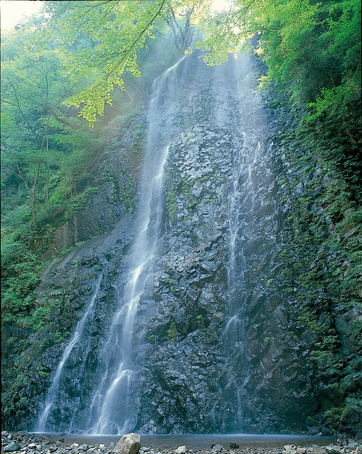 Shirai Fall
