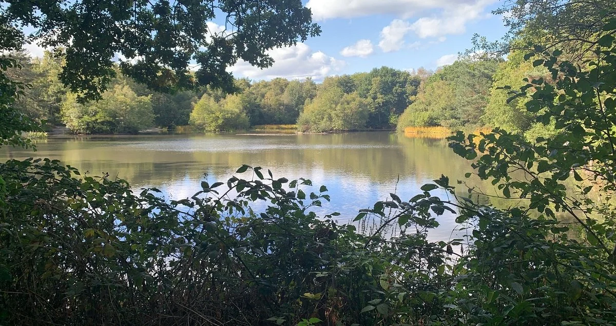 Lightwater Country Park