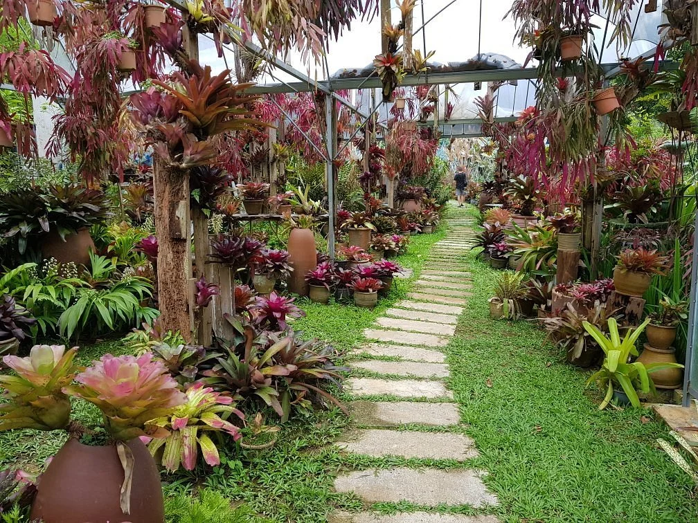 Art and Garden