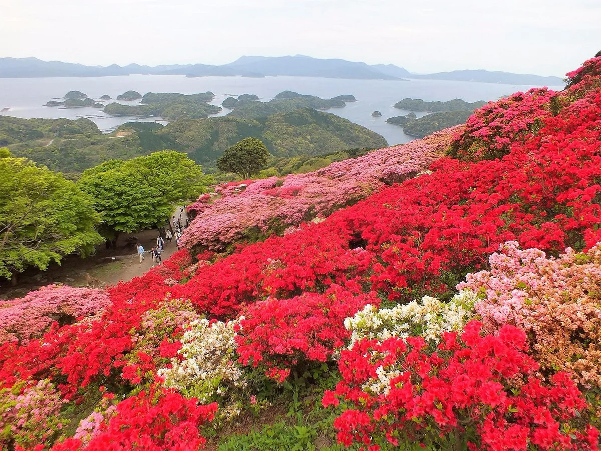 Nagushiyama Park