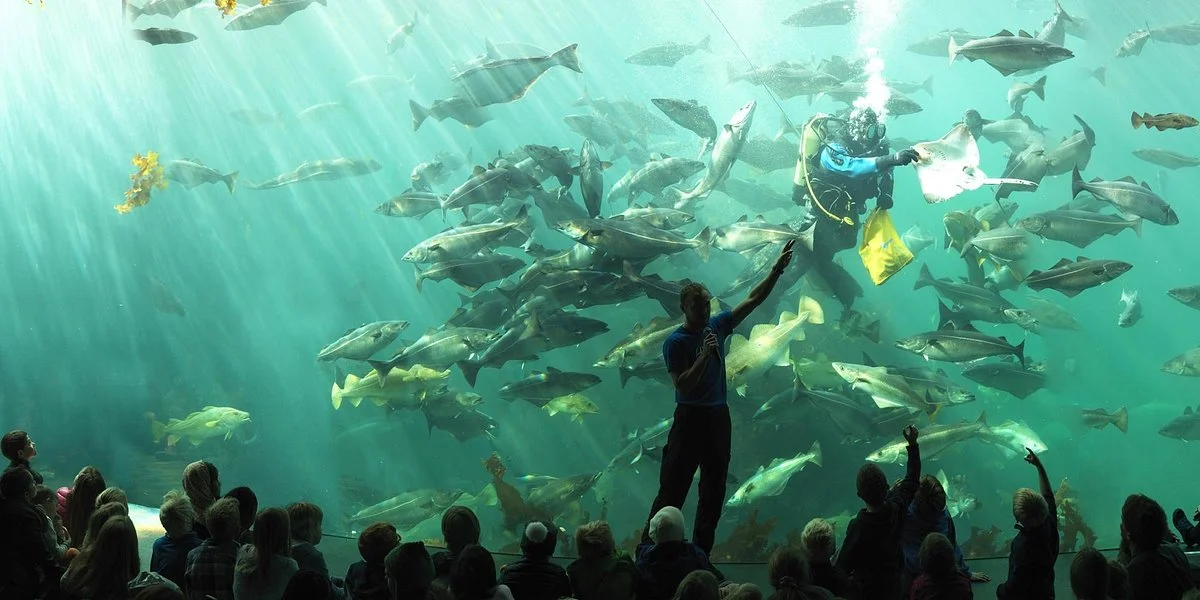 Atlantic Sea Park