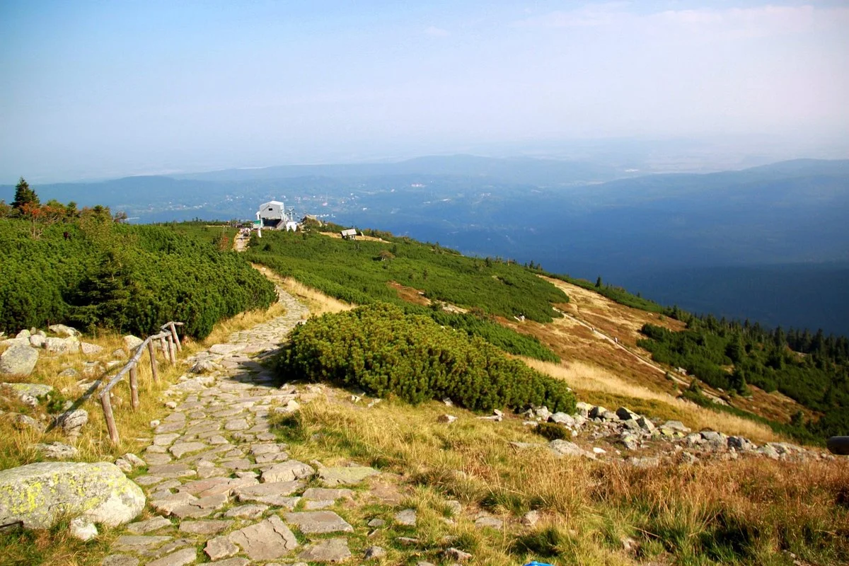 Szrenica