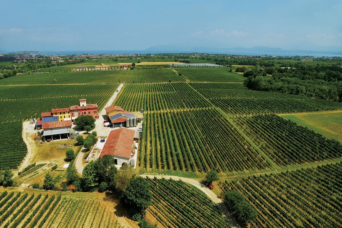 Azienda Agricola Pilandro