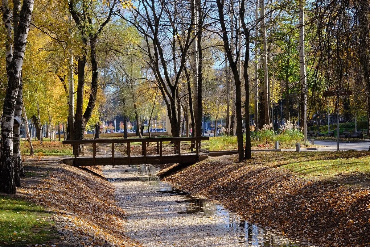 Voronezh Central Park
