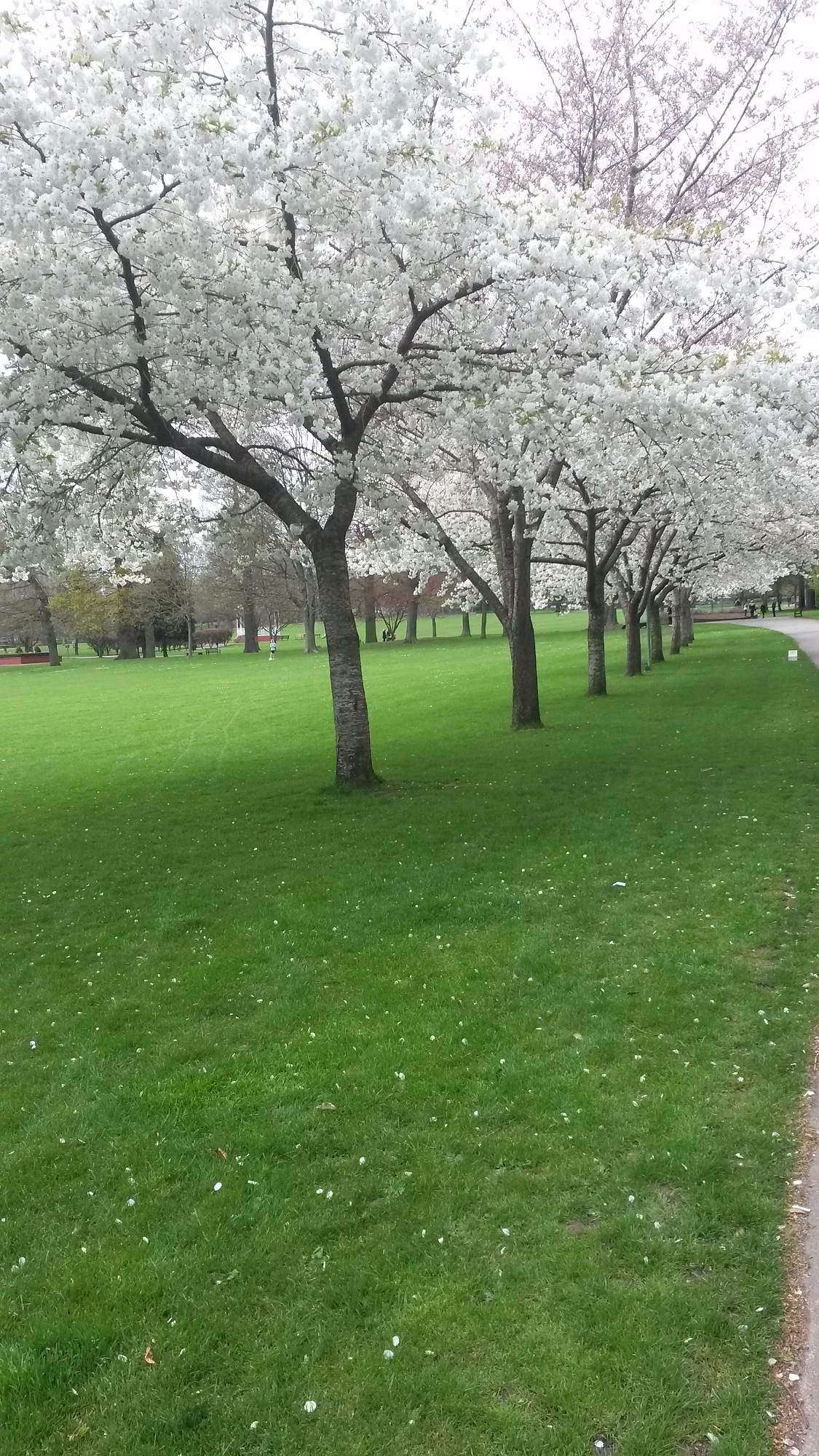 John Coles Park