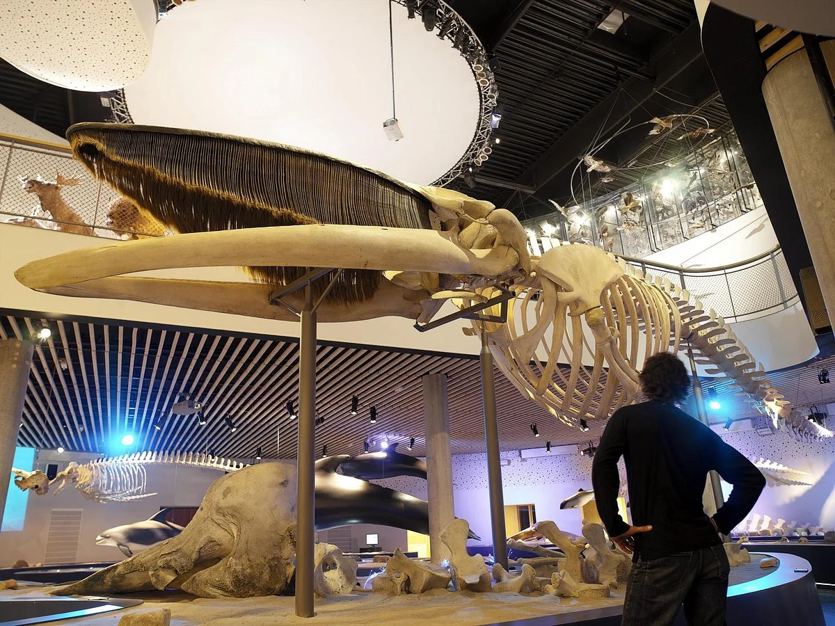 Naturama