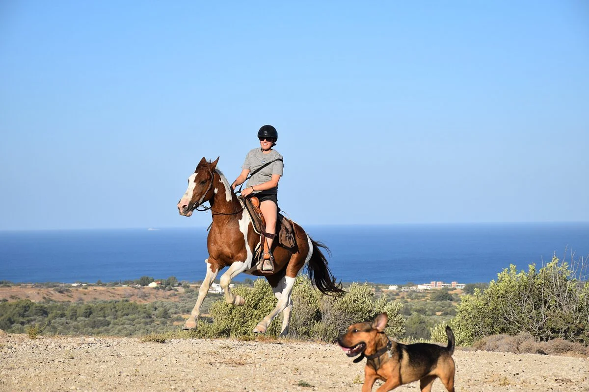 A&E Elpida Ranch