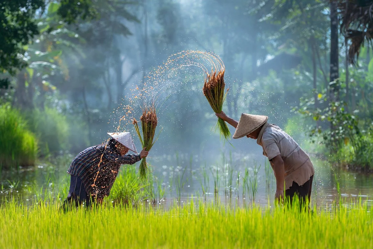Vietnam Stunning Travel