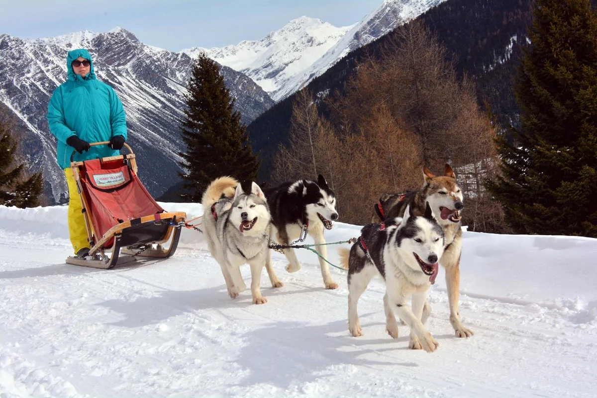 Centro Italiano Sleddog Husky Village