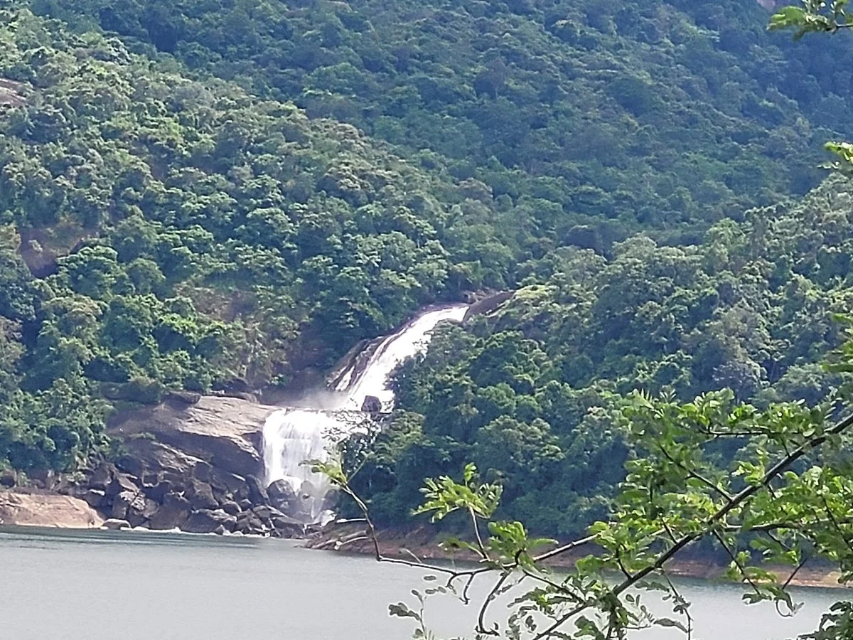Kalakkadu Sanctuary
