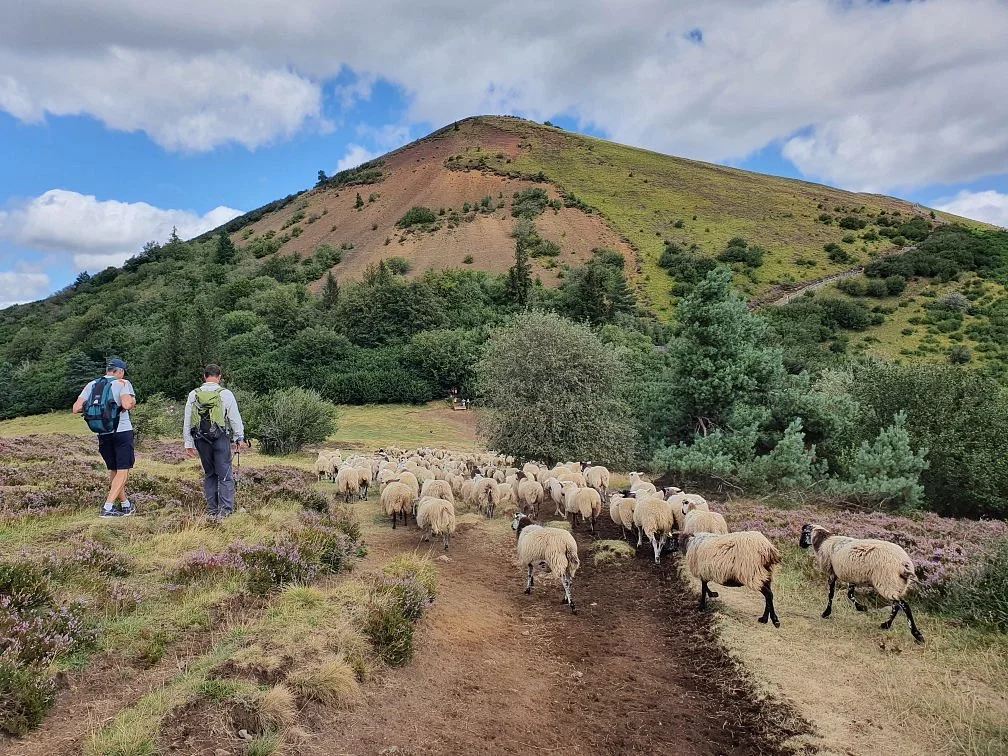 Le Puy du Pariou