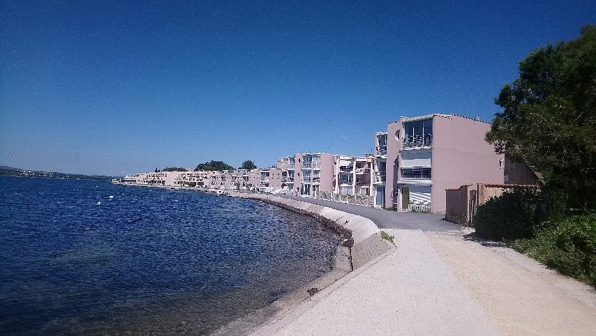 Promenade Georges Brassens - Laurent Spinosi