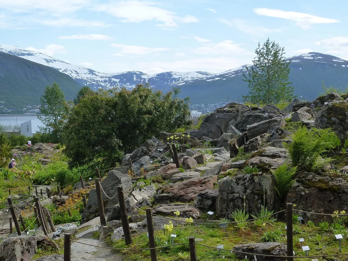 Tromso Botaniske Hage