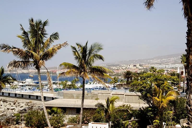 Casino Playa de las Americas