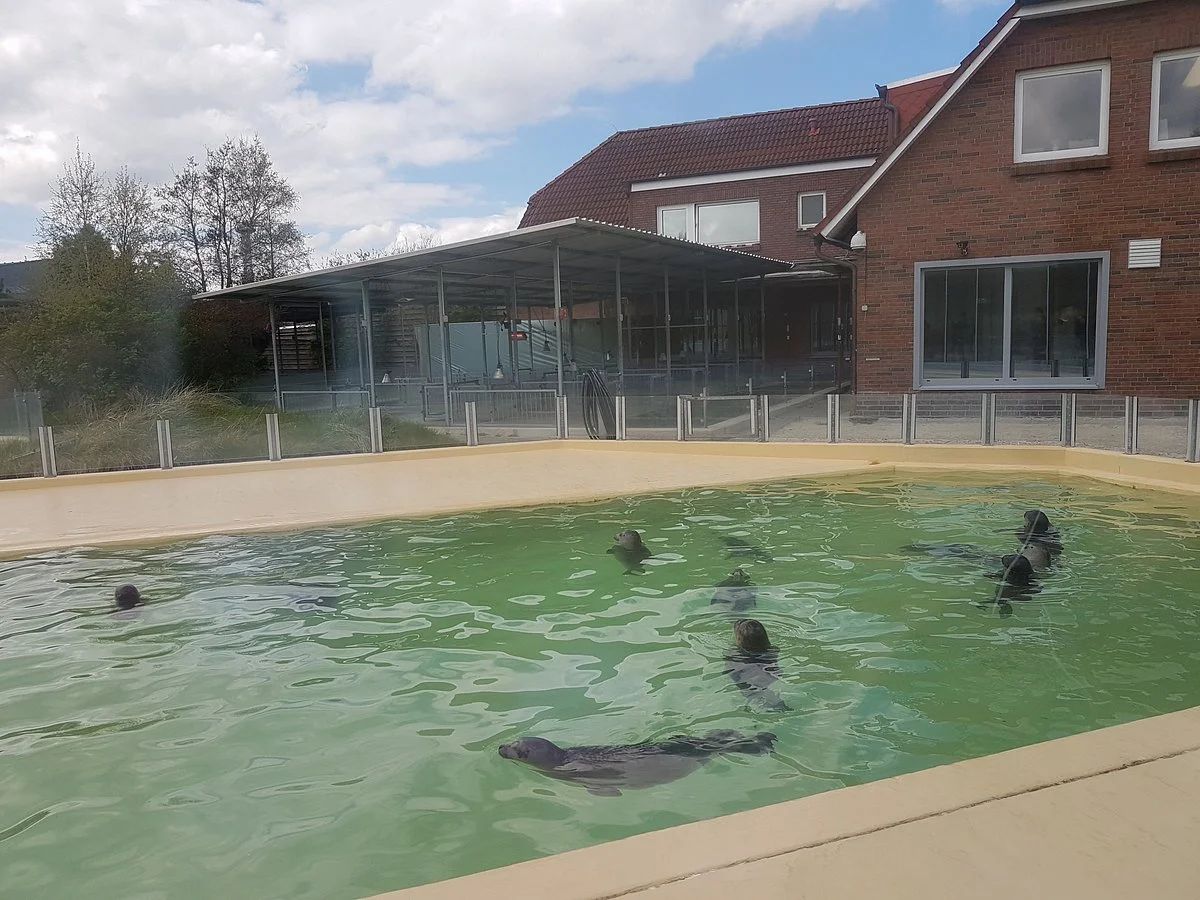 Seehundstation und Waloseum