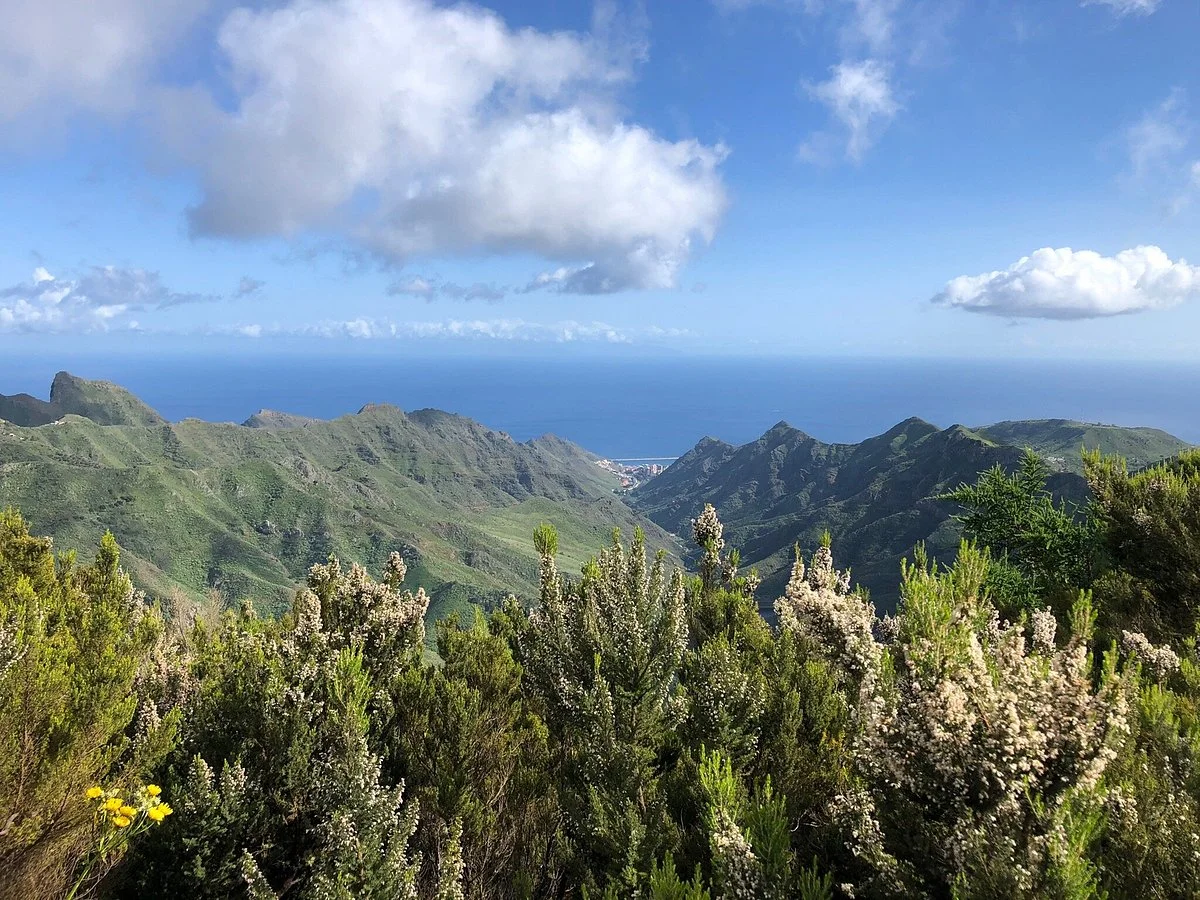 Sendero de los Sentidos