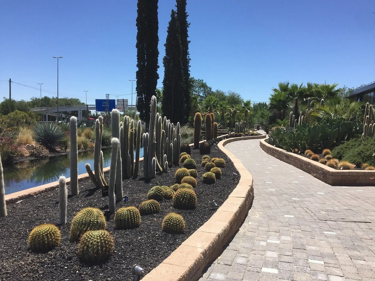 Desert City