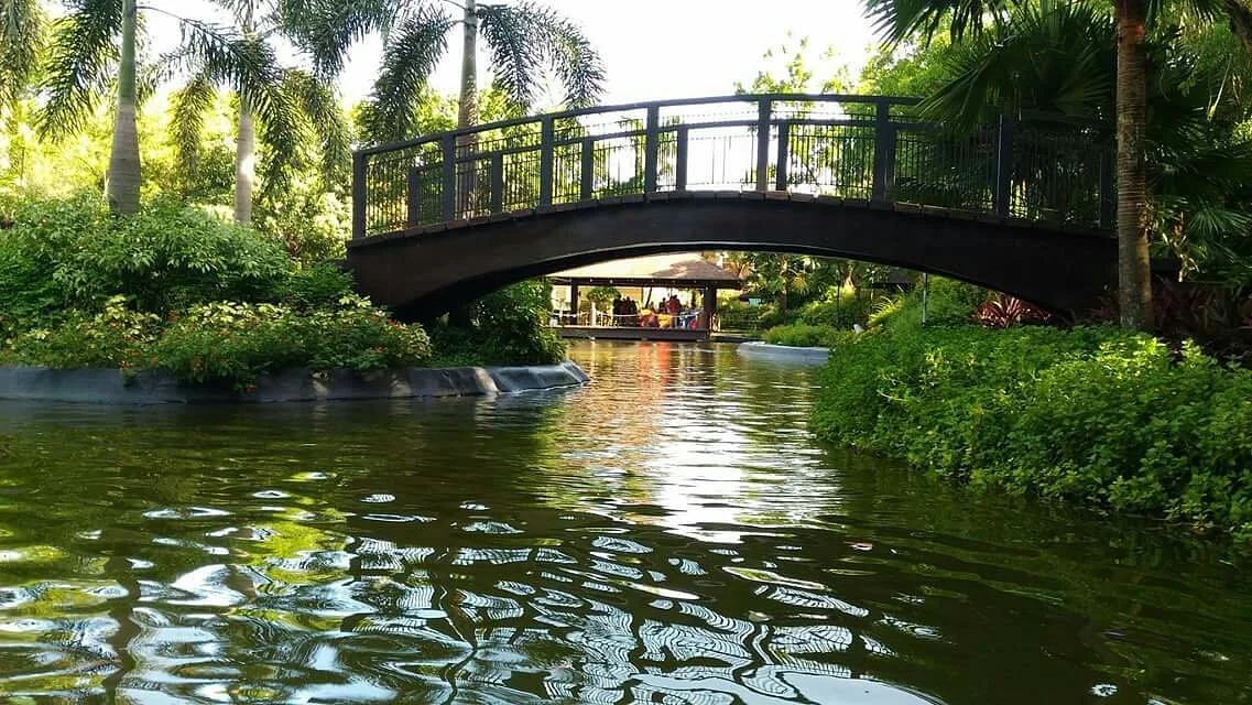 Rainforest Park