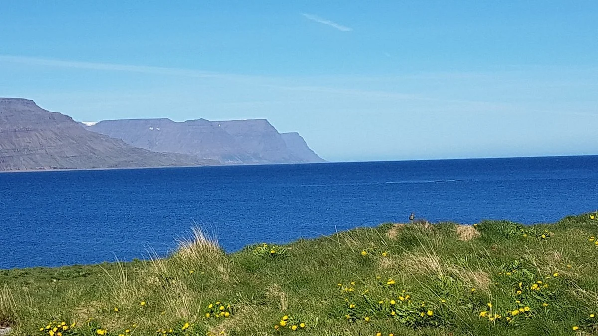 Vigur Island