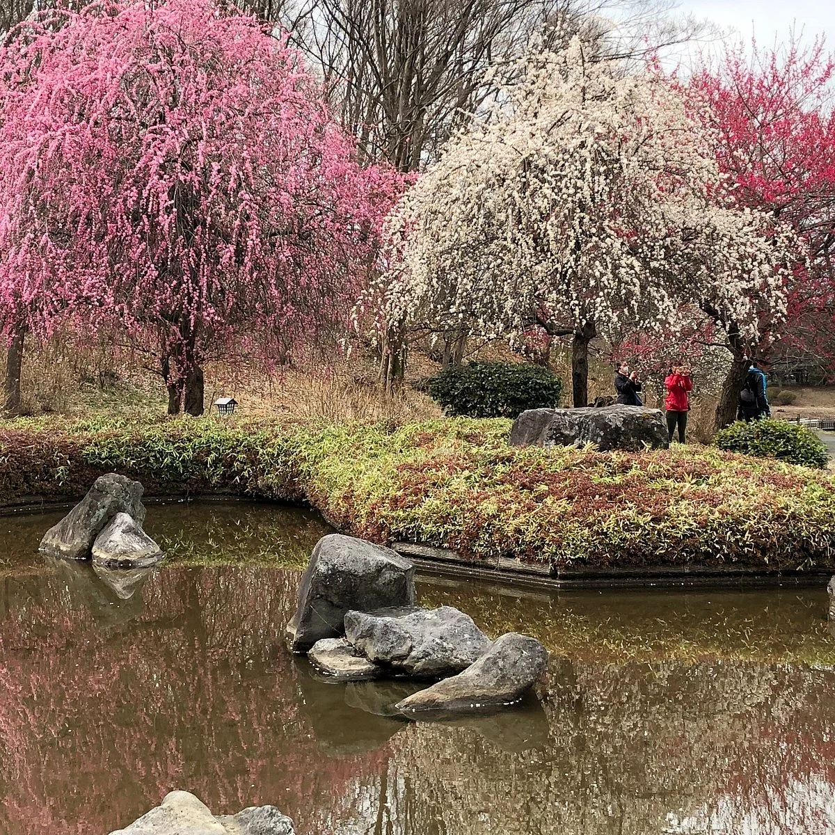 Bairin Park
