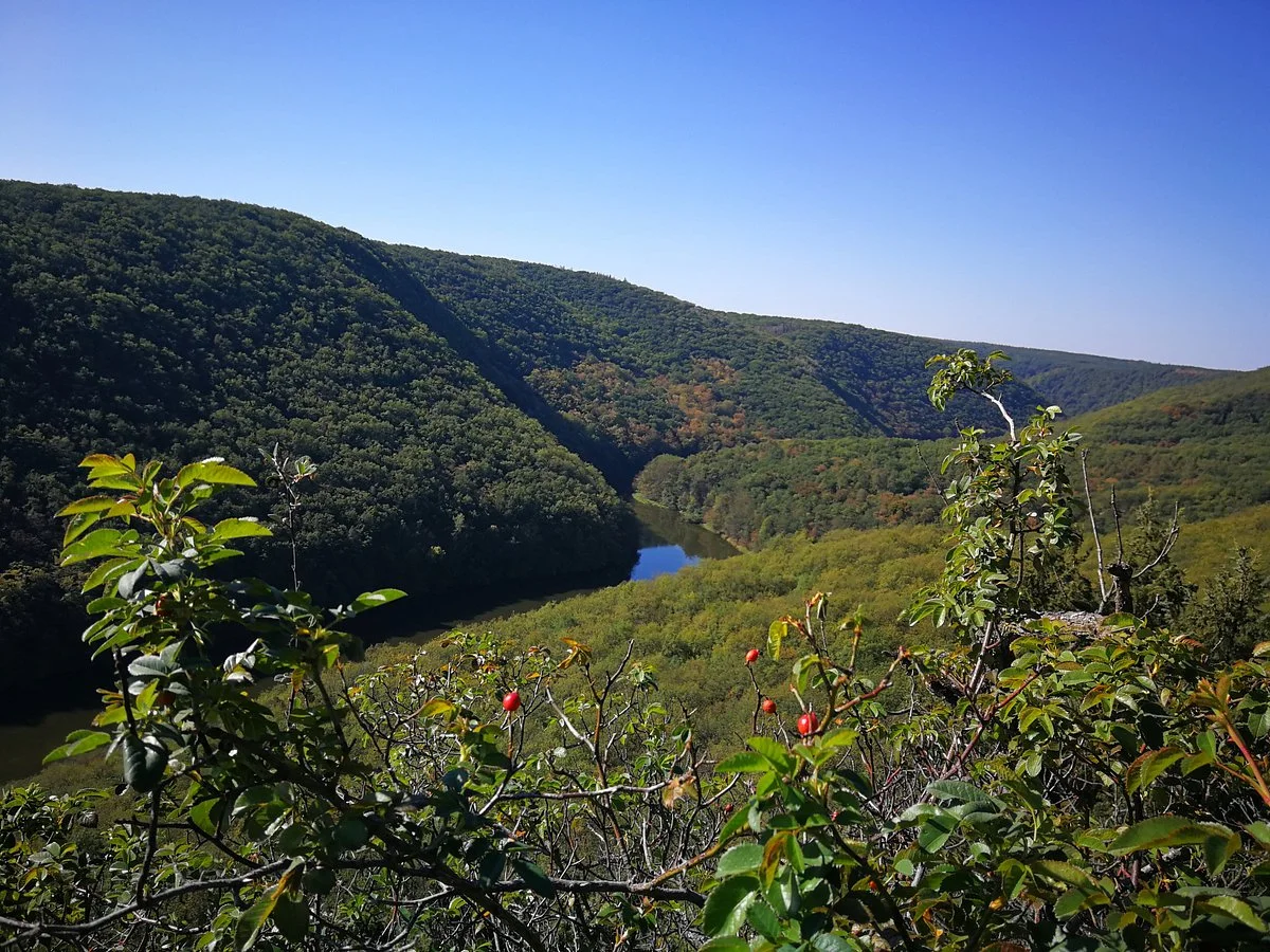 Národní Park Podyjí