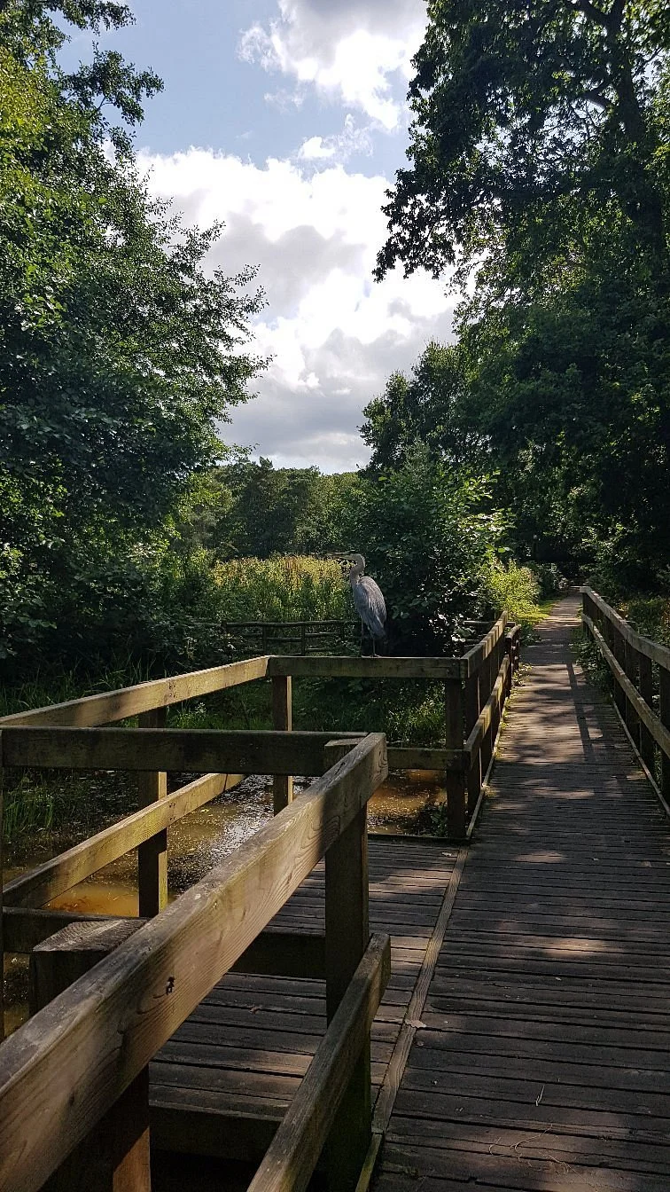 Lily Hill Park