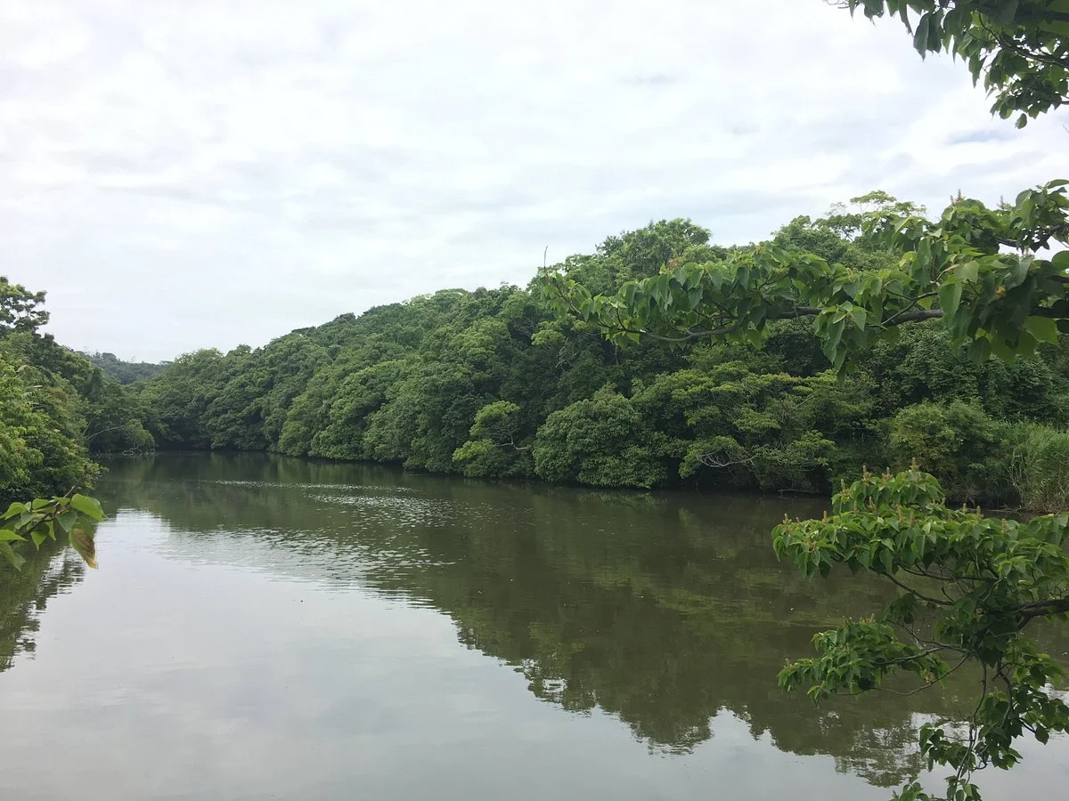 Seiryo Tumulus