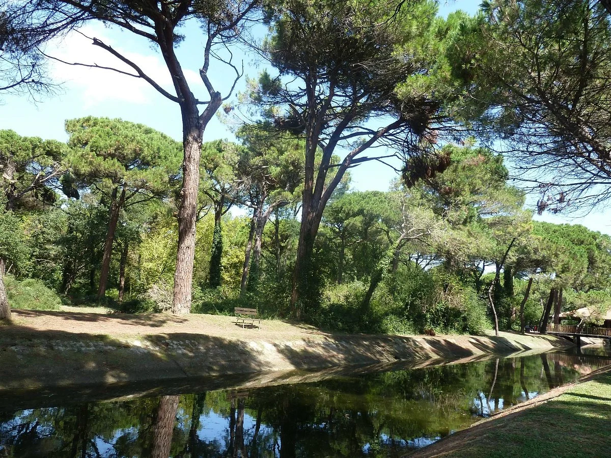 Parco Naturale di Cervia