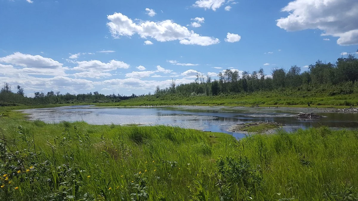 Elk Island National Park