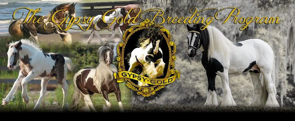 The Gypsy Gold Farm