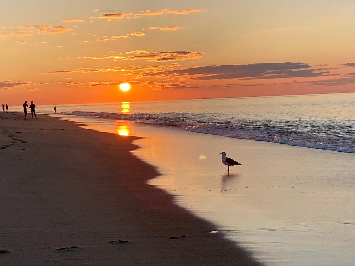 Race Point Beach