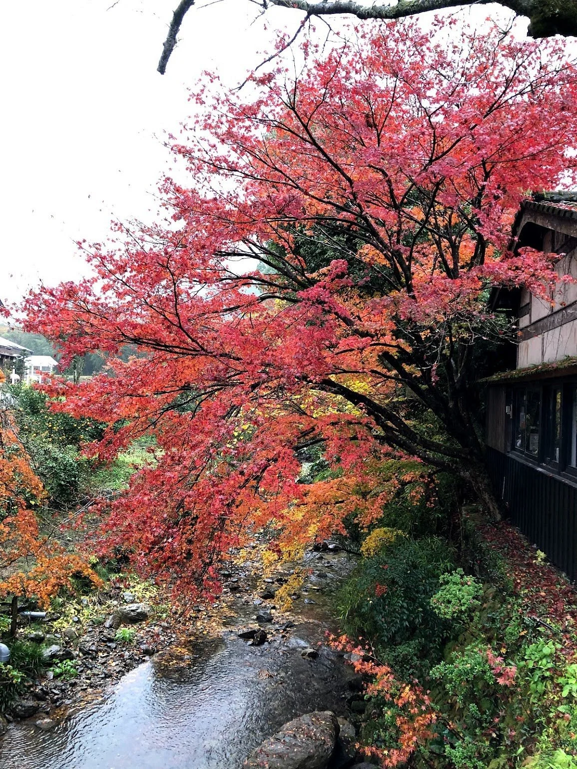 Akizuki Castle Remains