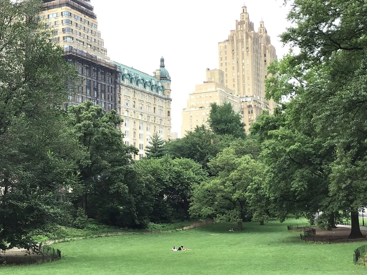 Central Park & Environs Walking Tours