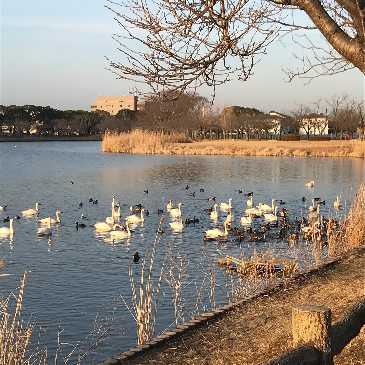 Ottonuma Park