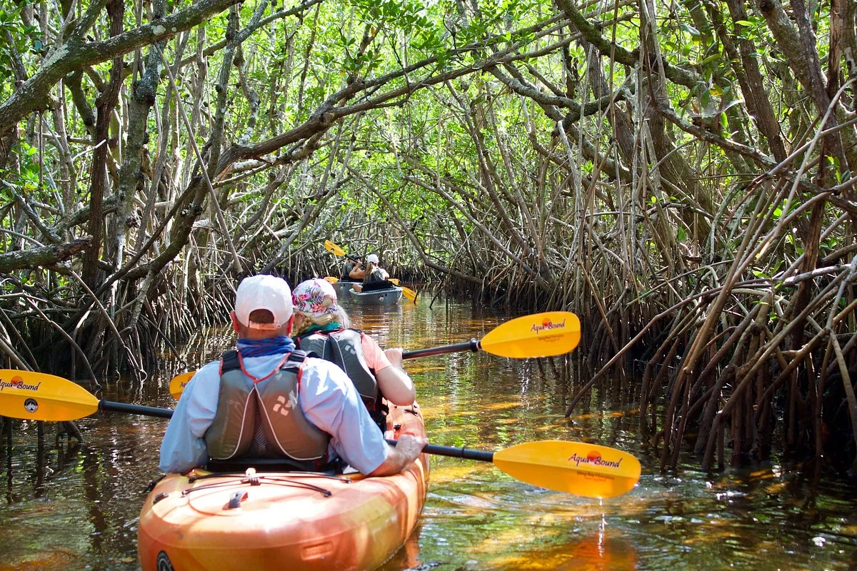 Adventure Paddle Tours