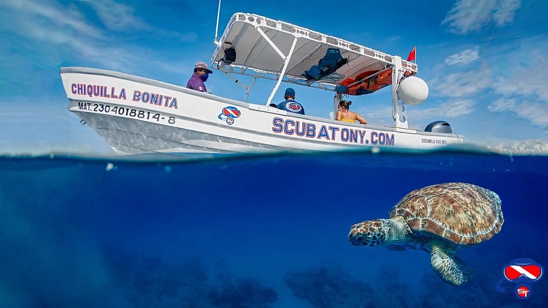 ScubaTony Cozumel