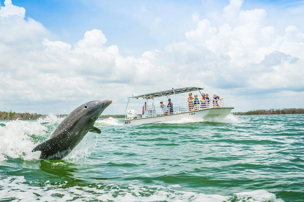 Florida Adventures and Rentals