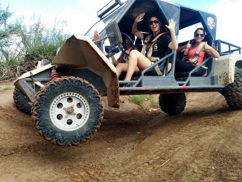 Desert Wolf Tours