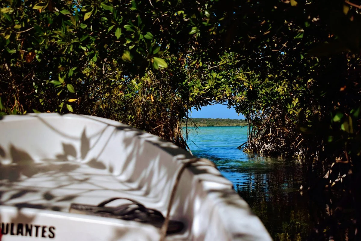 Carey Tours Riviera Maya